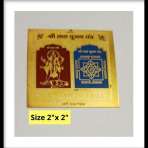 Tara yantra तारा महाविद्या यंत्र