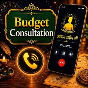 Budget Consultation